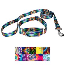 Country Brook Petz  Martingale Dog Collar and Leash - Groovy Collection