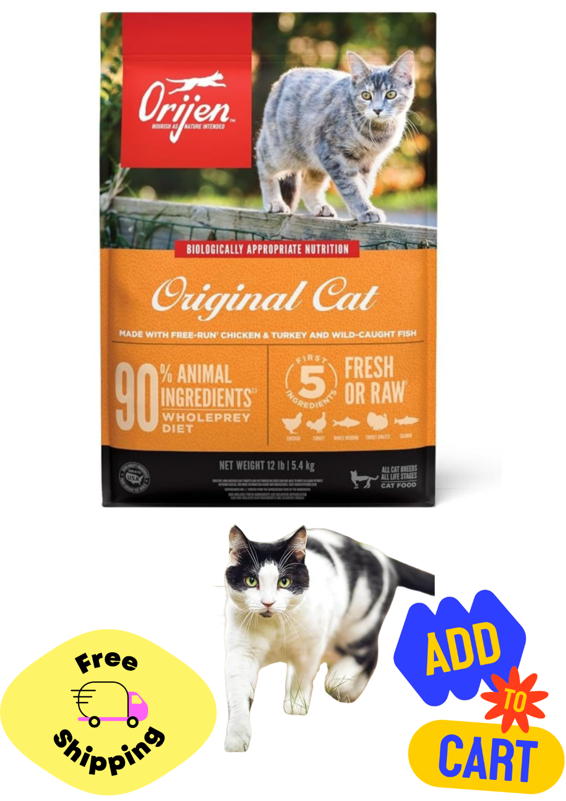 Orijen High Protein Dry Cat Food - Grain Free with WholePrey Nutrition -12lb