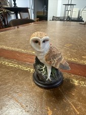 The Barn Owl Eaglemoss Hand Painted&sculptured By Andy Pearce 10x7cm