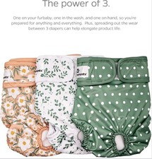 PET PARENTS DOG DIAPERS SMALL DAISY PRINT WAIST 9”-15”