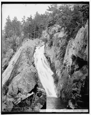 Cascade near Lake Dunmore Green Mountains between 1900 and 1906 Old Photo
