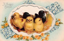 Antique Easter Card Egg Yellow Black Chicks Fantasy Cute Blue Vtg Postcard D19