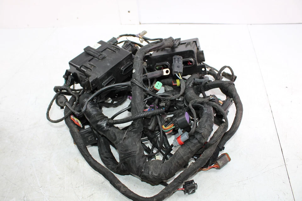 Can-Am Spyder RT SE6 Limited 2015 arnés de cableado principal telar de cables 710004355 Foto 4 de 4