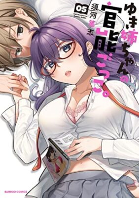 Yuki Nee-chan no Kannou Gokko Vol. 1-5 Komplettsatz Comics Atsushi Suga Manga