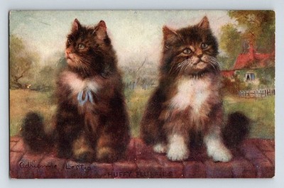 Tiere: Zwei Katzen an einer Wand. Künstler signiert ''Adrienne Lester''. Unbestellte Postkarte.