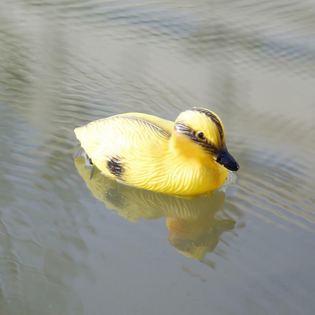 Luqeeg Schwimmende Fischteich Kuppel - Transparente Teichabdeckung