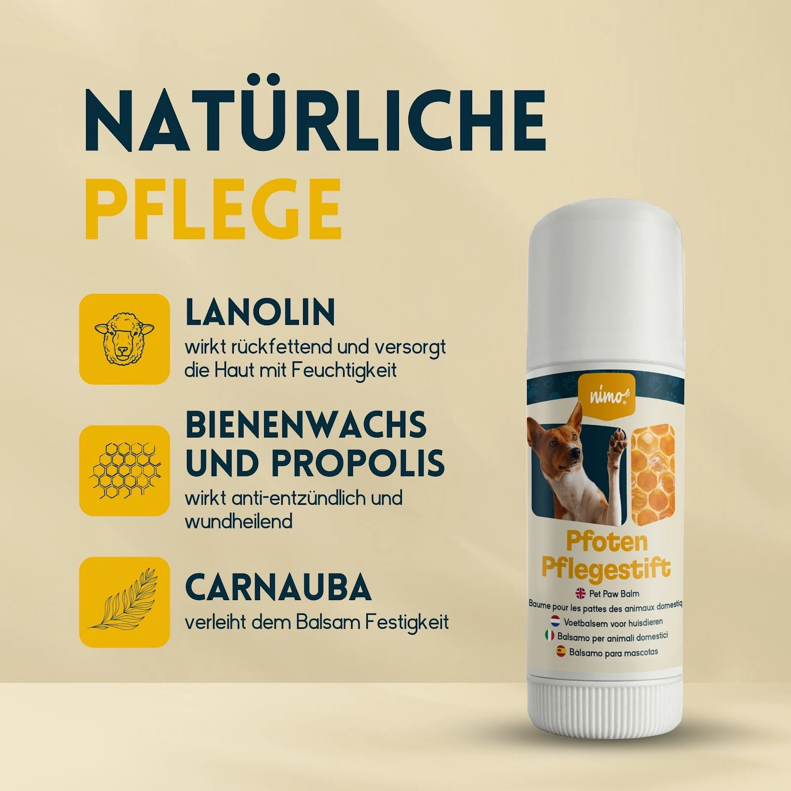 Bild 5 von 6