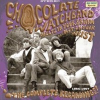 Chocolate Watchband - Melts In Your Brain...Not On Your Wrist! - Cd - G1398Z