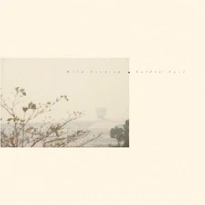 Golden Haze-Golden Haze by Wild Nothing (Record, 2010)