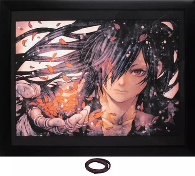 Dororo Blu-ray Box Volume 2 Illustration Board with Frame and String, 310x250mm