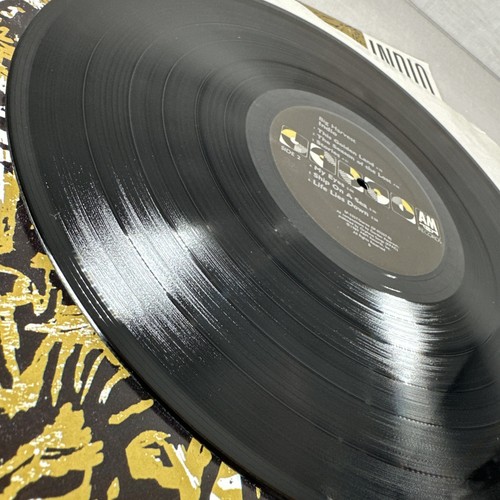 Indio - Big Harvest Promo Vintage Vinyl Schallplatte - Bild 12 von 15
