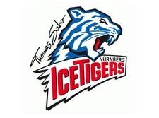 Nürnberg Ice Tigers (2017/18 to 2020/21) You Pick/Choose your cards