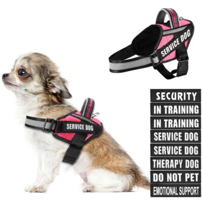 Dog Vest Harness and Patches Set in Training Service Dog Harness with 10 Dog ...