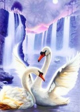 Diamond painting kit - A pair of swans by Diamondmosaic