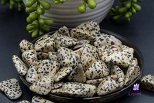 Dalmatian Jasper Tumble