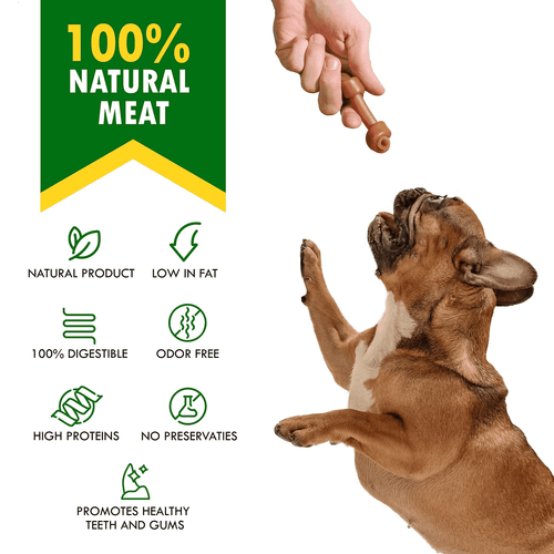 Dog Peanut Butter Bones with Cranberry & Rawhide Free Chew Treats Pet Natural - Picture 2 of 7