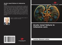 Acute Renal Failure In Intensive Care Lamine Ghanem Lakhal
