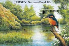 Timbre Oiseaux Jersey BF35 ** année 2001 (39319Y)