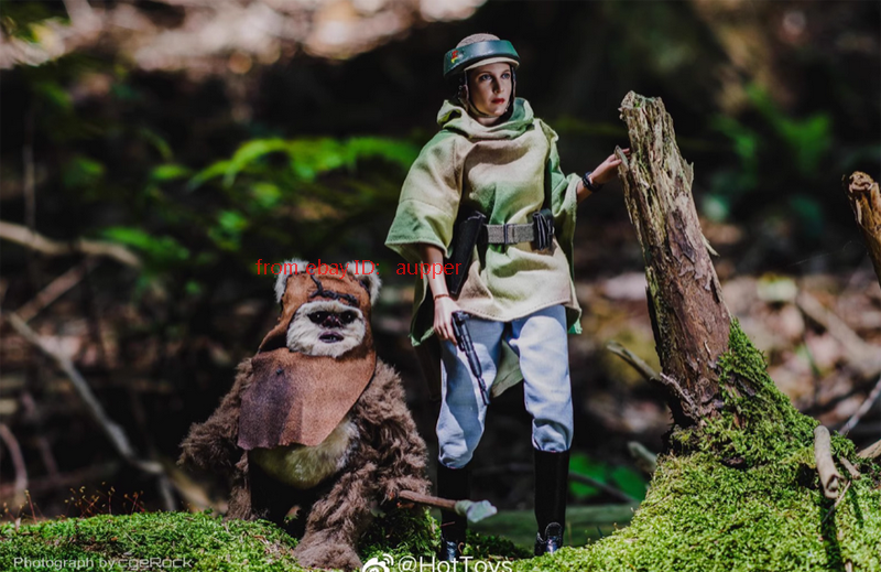 Hottoys 1/6 Mms551 Princess Leia & Wicket Set Star Wars 6 Action