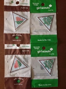 Brownie Girl Scout Outdoor Stem Journey Badge Lot