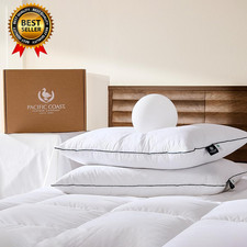 Premium Goose Feather  down Bed Pillows Standard Size 2-Pack, Hotel Quality Col