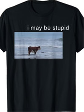 I May Be Stupid gag/funny shirt MENS and WOME...