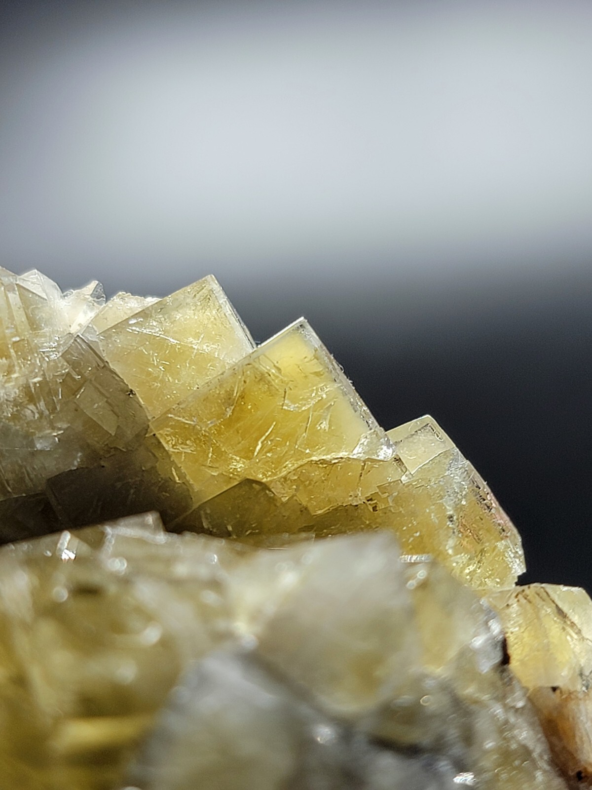 Lemony Yellow Fluorite Crystals Harvest Pocket, Lady Annabella Mine