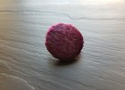 Bild 13 von 16