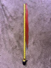 25in Ruby Red Macaw Tail Feather, Naturally Dropped