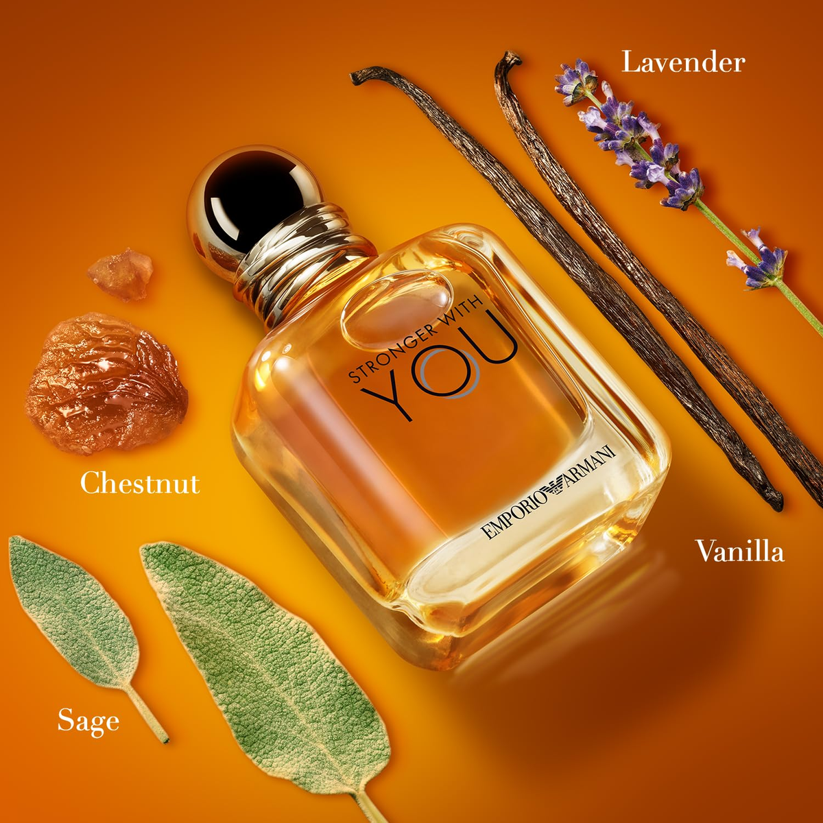 Stronger with You - Eau De Toilette - Cologne for Men - Warm Spicy