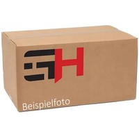 GH GH-464803 Bremssattelhalter FüR Volvo