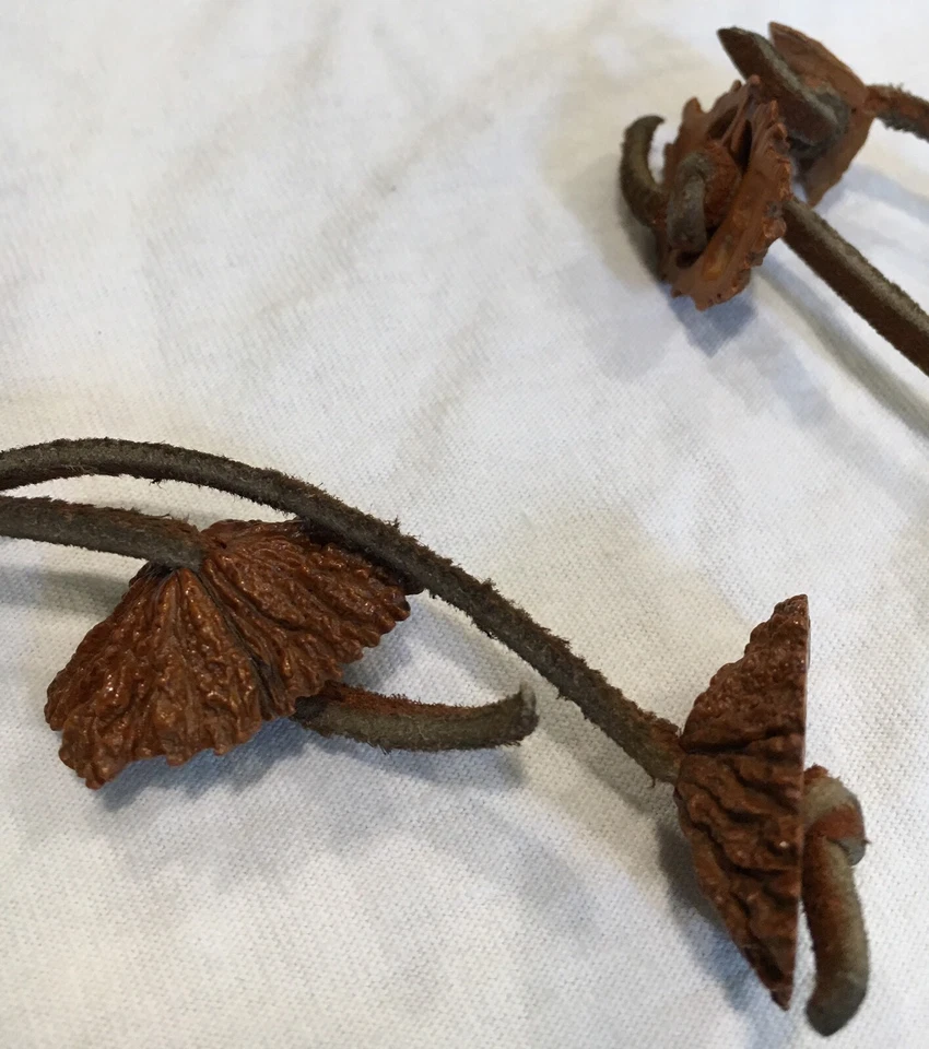 Cinturón Woodstock Hippie con flecos de cuero tuerca nogal concha de nuez moscana para damas años 60 70 Foto 3 de 4