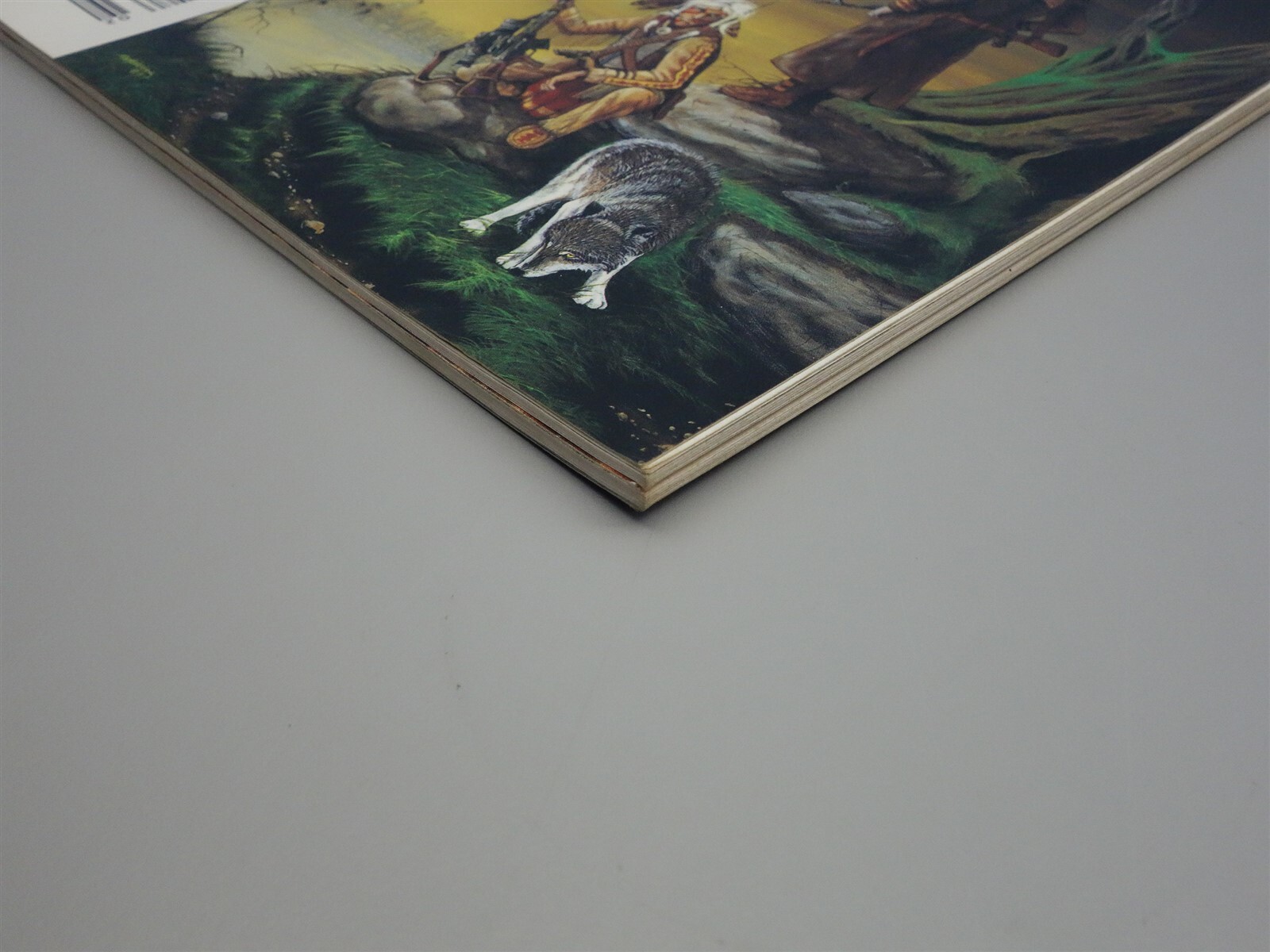 Picture 10 of 12