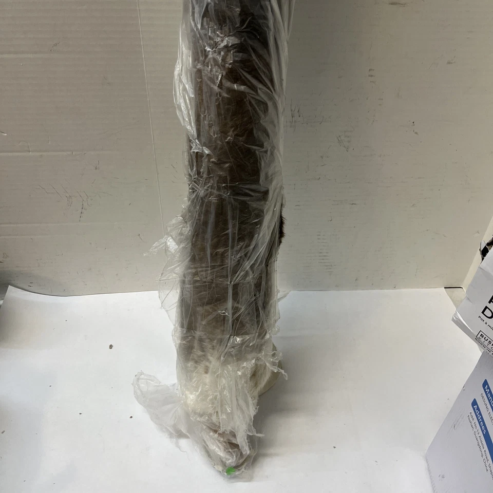 Grand Canyon Coffee/ivory 3'10" X 5' - Image 2 of 3