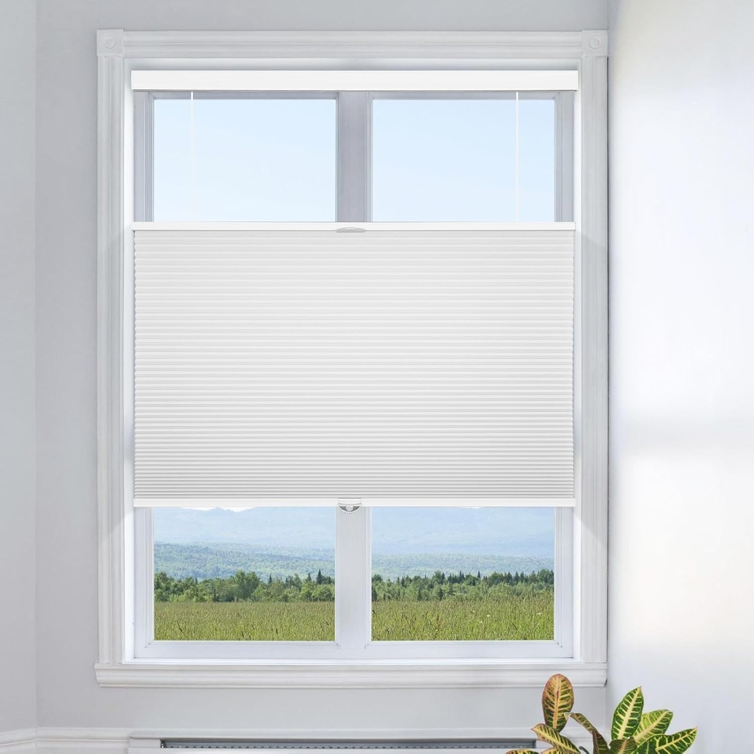 Cordless, 35" W X 64" H, White