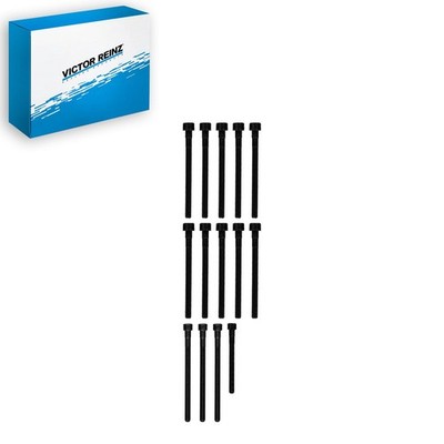 Victor Reinz Engine Cylinder Head Bolt Set For 2009-2010 BMW 528i xDrive