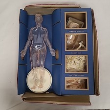 Visible Woman Indiana OTHER Models & Kits for sale | eBay