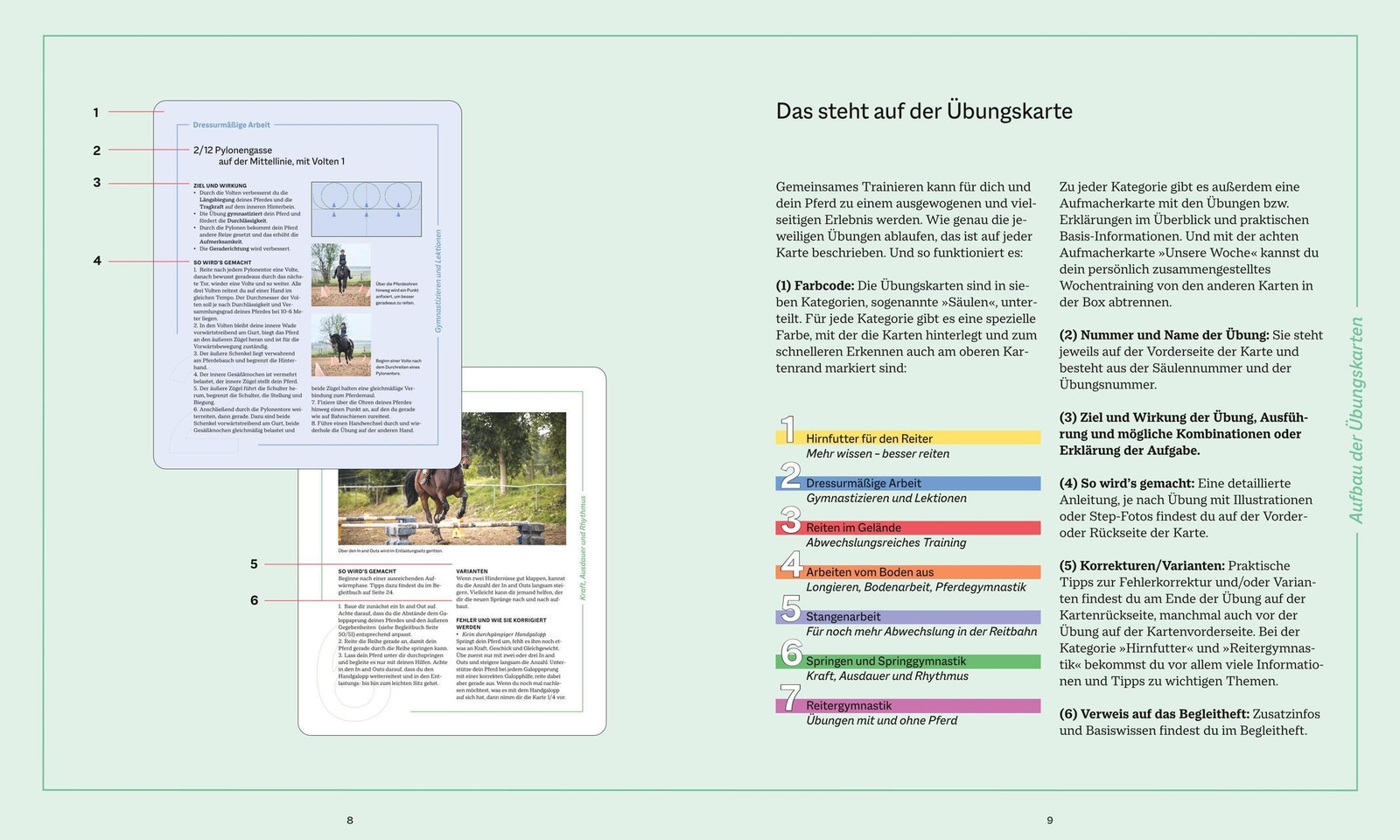 Thumbnail - Die Reittrainings-box Barbara Decker