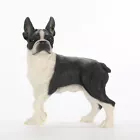 Boston Terrier Collectibles
