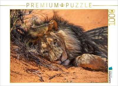 CALVENDO Puzzle Mighty lion man rests in the red sands of the Kalahari | 1000 pi