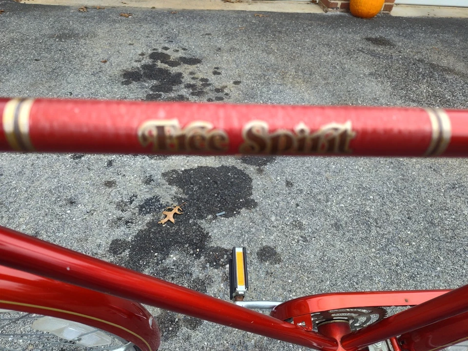 Bicicleta Free Spirit vintage años 60 a 80 excelente estado Foto 3 de 4