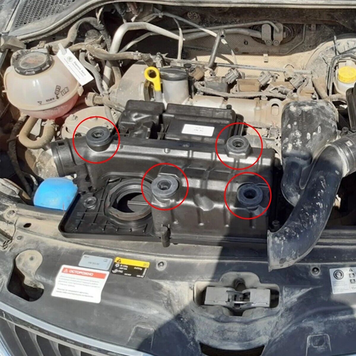 Picture 5 of 8