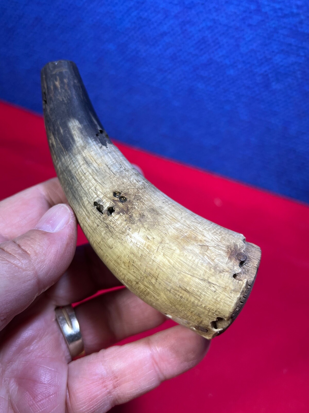 Estate Found Antique Powder Horns. PP215. **ROUGH CONDITION** eBay