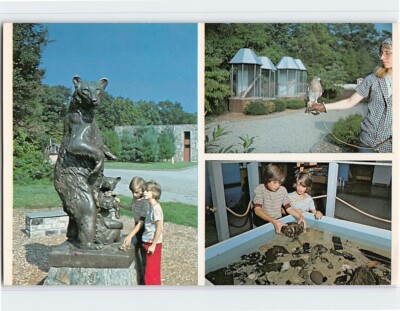Postcard Nature Center for Environmental Activities Inc. Westport Connecticut