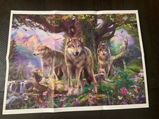 1000 Piece Puzzle Wolves 2021 With Poster 26 X 19 CEACO