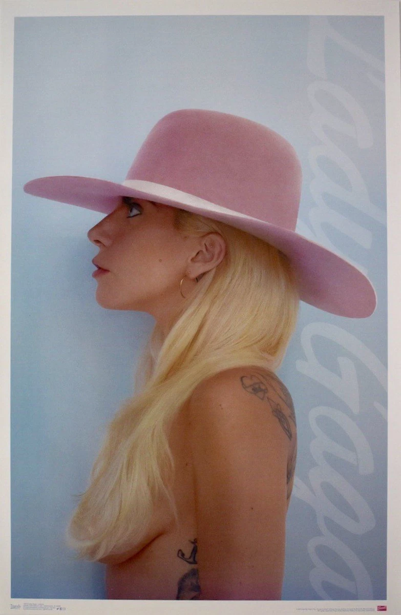 Lady Gaga Pink Hat Poster 22 x 34 eBay