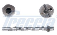 Freccia Nockenwelle CM05-2121 FüR C5 Ake Audi Aym A4 Vw Superb A8 4B2 Akn Passat
