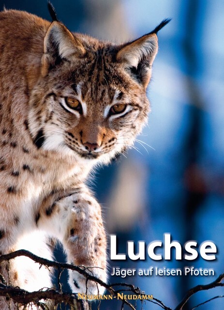 Thumbnail - Luchse Verlag Neumann-neudamm