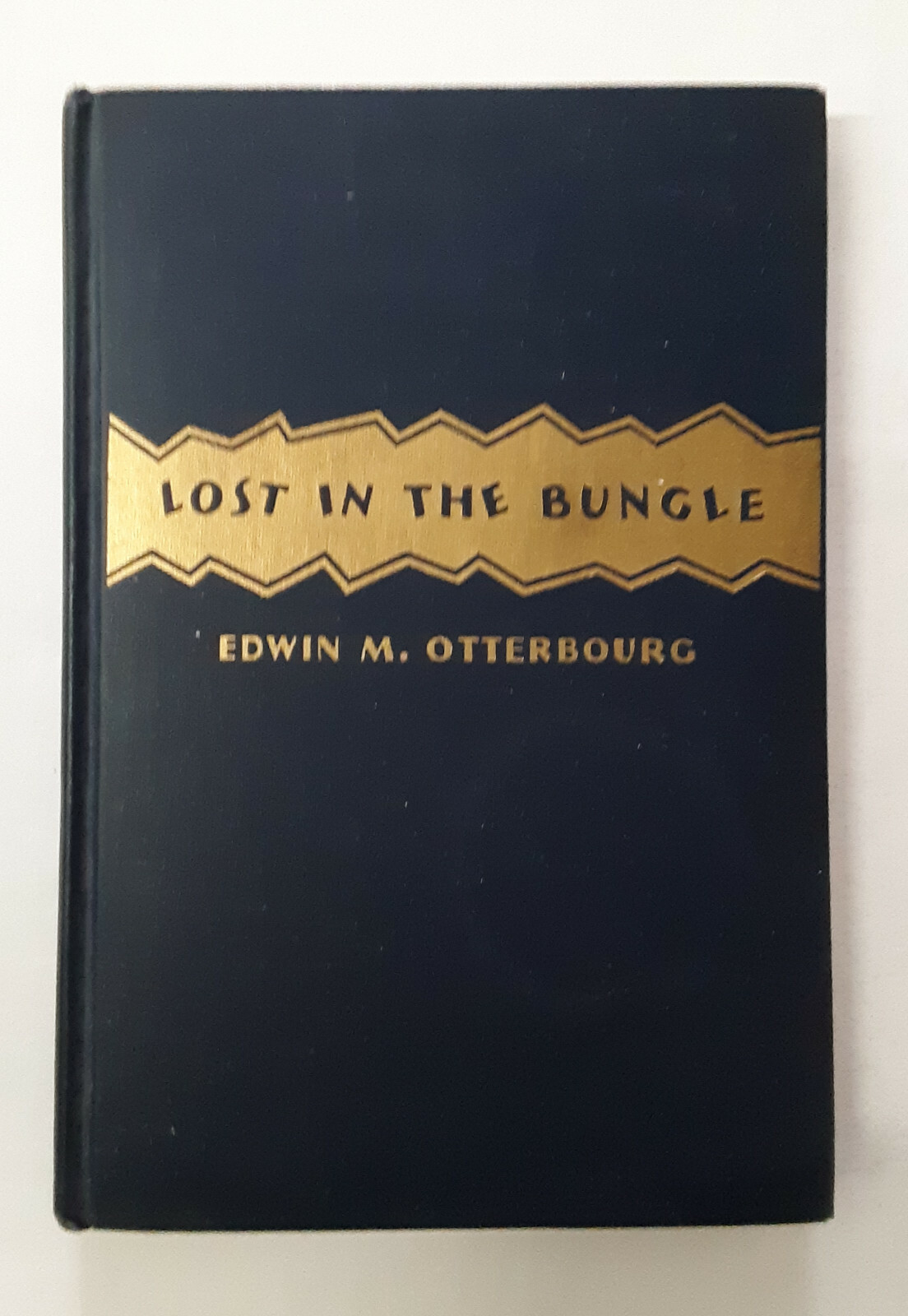 Lost in the bungle (with apologies to Lewis Carroll) by Edwin Max ...