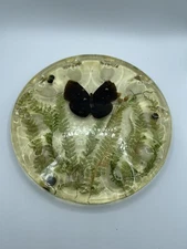 Vintage Acrylic Resin Deviled Egg Plate with Dried Flowers and Butterfly